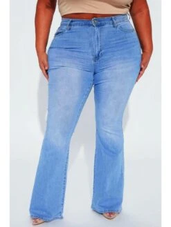 Embroidery Light Blue Plus Size Denim Jeans