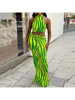 Colorblock Zebra Print Cropped Skirt Sets