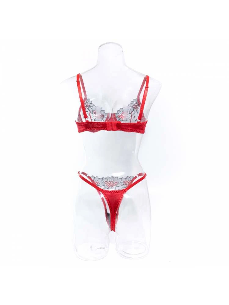 Embroidery See Through High Rise Sexual Sets - Image 10