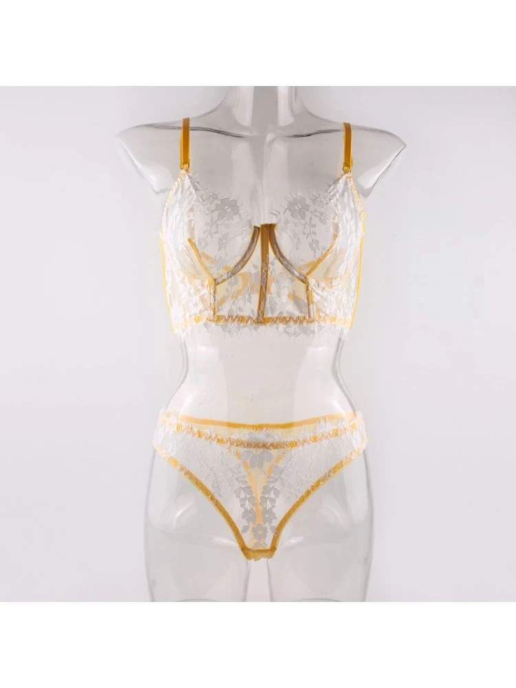 Embroidery Fishbone See Through Bra Sets - Image 4