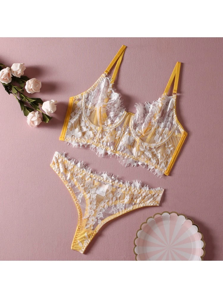 Embroidery Fishbone See Through Bra Sets - Image 7