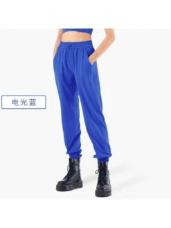 Solid Color High-waisted Elastic Waist Baggy Pants
